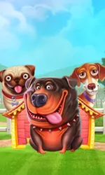 The Dog House