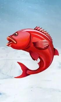 Ice Fishing