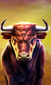 Black Bull